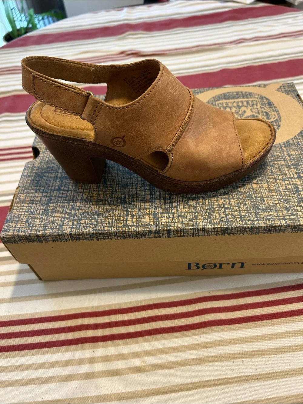 Born stylish tan